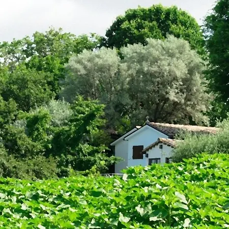 Civettuola *